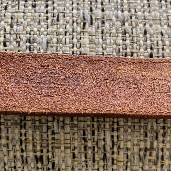 Fossil belt - Picture 6 of 7